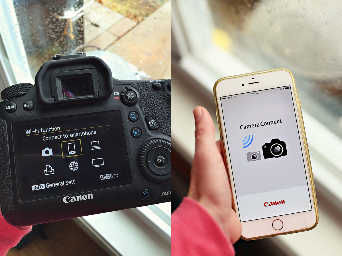 Canon 6D & wifi » ashleyannphotography.com