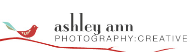 ashleyannphotography.com logo