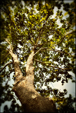 ashleyannphotography.com bio picture