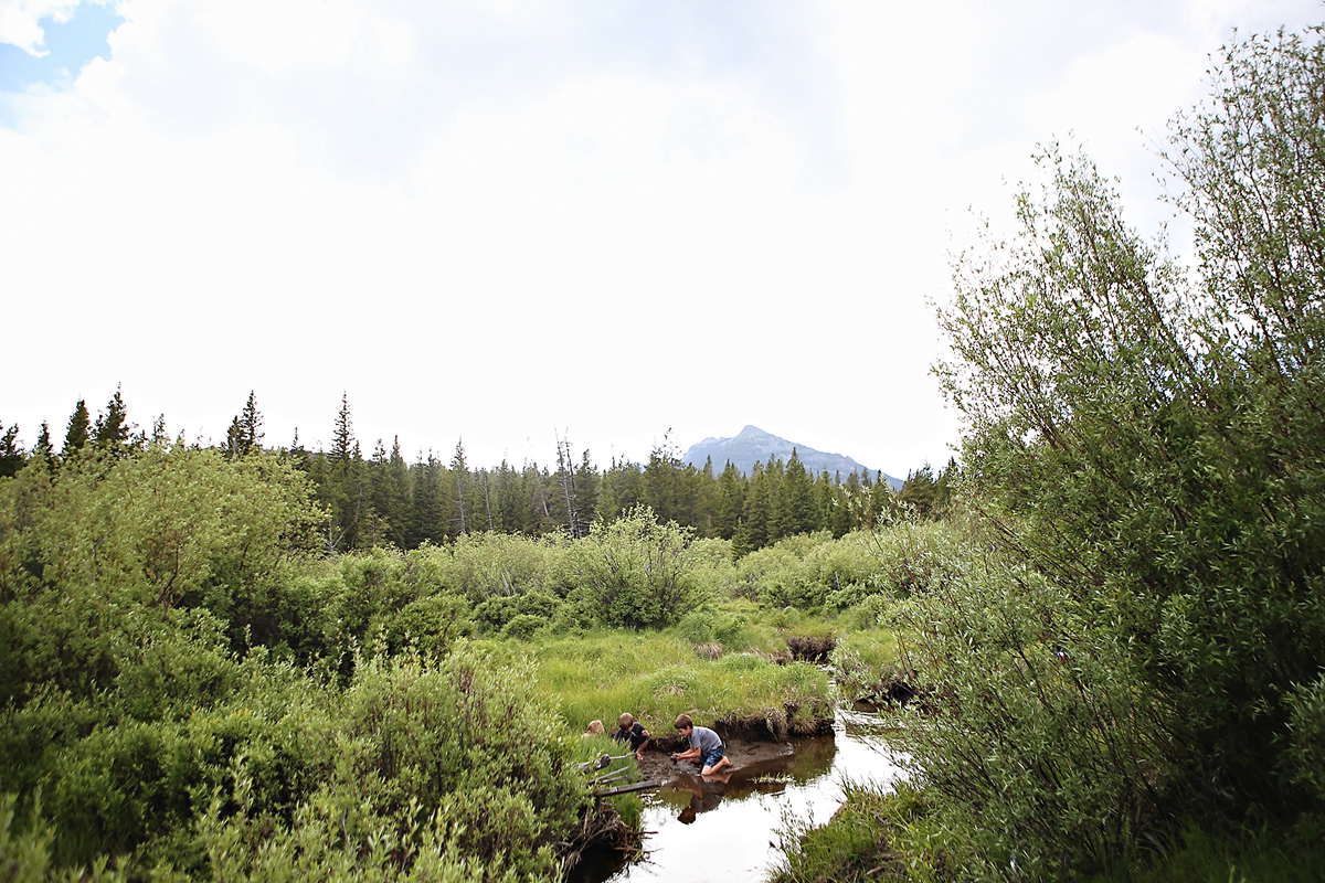 7.14bighorn-6
