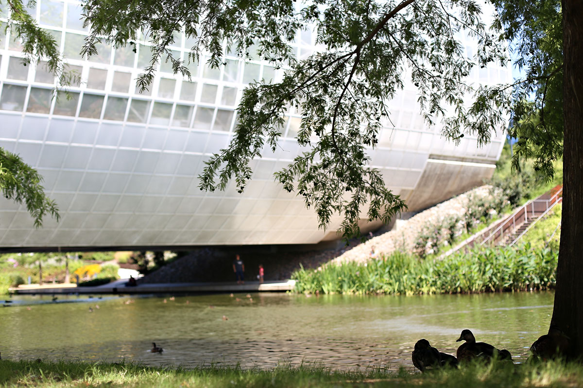 MyriadGardens-12