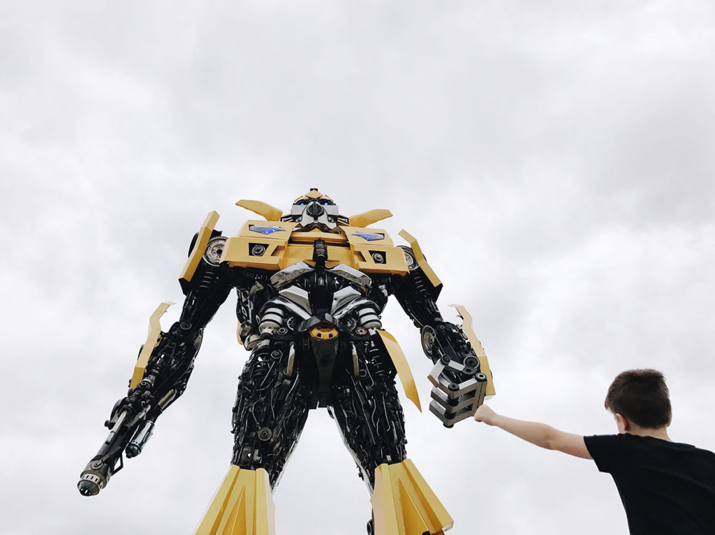 Bumblebee1