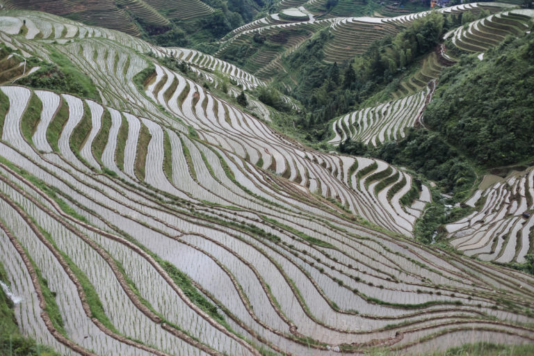 Longsheng Rice Terraces & Dazhai Village - Ashley Ann Campbell